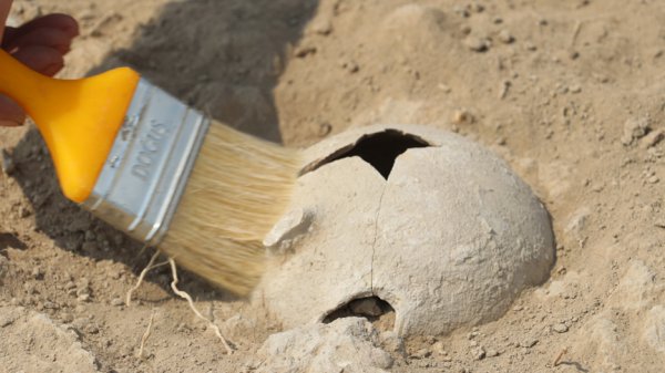 Sirkeli Höyüğü'nde yeni yerleşim alanı bulundu