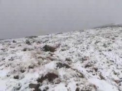 Rize'de Önce Hortum, Sonra Yağmur Ardından da Kar