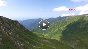 Kızıl Tilki Yaylacıların Maskotu Oldu