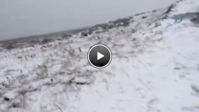 Yaylacılara  Yaylalardan İnin  Çağrısı