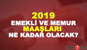 2019'da kimler kaç TL maaş alacak? SSK Bağ-kur emekli ve memur maaşları ne kadar?
