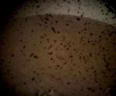 NASA Mars kaşifi Insight'ı indirdi