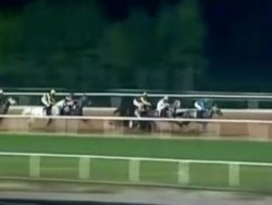 Adana'da attan düşen jokeyler yaralandı