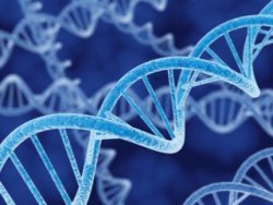 Failler bundan böyle moleküler resimle saptama edilecek