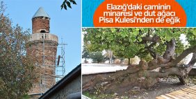 Pisa Kulesi'nden bile eğik olan minare ve dut ağacı