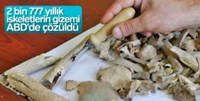 Van'da yer alan iskeletinin sırrı ABD'de çözüldü