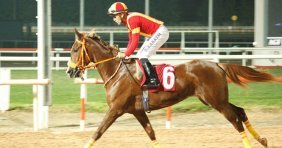 Meşhur Jokey Halis Karataş Ölümden Döndü!