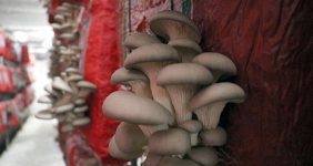 Hobi olarak başladılar, talepleri yetiştiremiyorlar