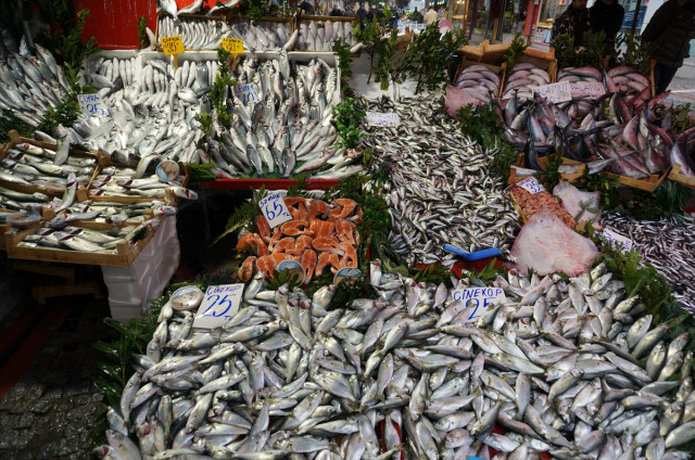 Çinekop Bolluğu Ucuzluk Getirdi! Fiyatlar Az Kalsın Sözde Yarıya Düştü