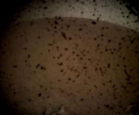 NASA Mars kaşifi Insight’ı indirdi