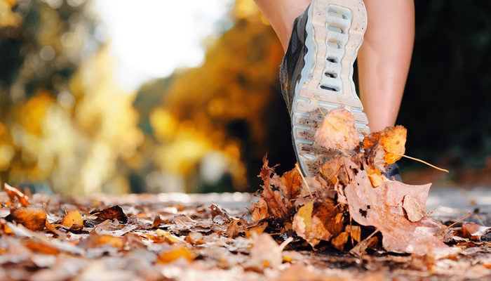 Spor yapmak damar sağlığını da koruyor