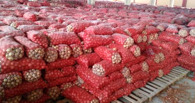 Ankara’da Su Deposunda Stoklanmış bin 300 Ton Kuru Soğan Bulundu