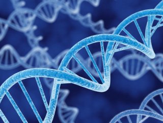 Failler bundan böyle moleküler resimle saptama edilecek