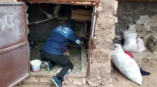 Güvercin kümesinde 592 ecstasy hap ele geçirildi