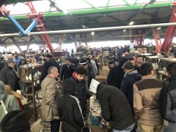 Asırlık Kuş Pazarı Binlerce Kuş Severi Bir Araya Getiriyor