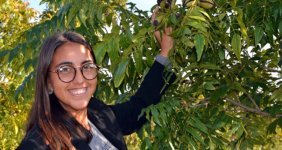 Yalnızca 14 İlde Üretimi Yapılabilen Pikan Cevizinin Kilosu 130 Liradan Satılıyor