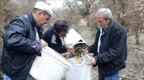Muhtarın Girişimi Köylüye Gelir Kaynağı Oldu, Meşe Palamudundan Takvim 40 Bin Lira Kazanıyorlar