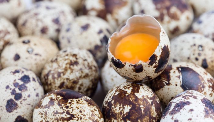 Bıldırcın yumurtasının faydaları nelerdir? Bıldırcın yumurtası nasıl tüketilir?