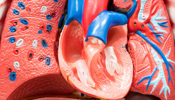 Minimal invaziv aort cerrahisi avantajları nelerdir?