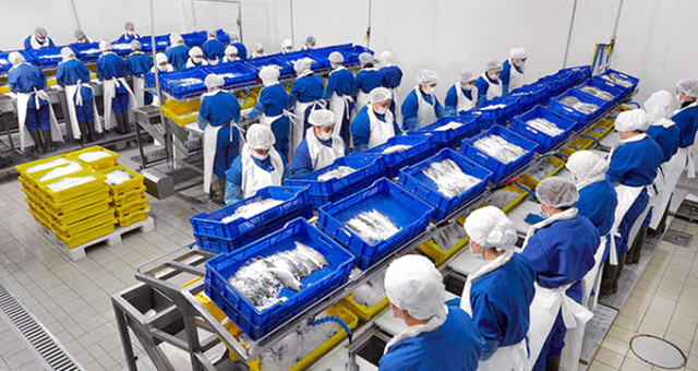 Türkiye’nin En Büyük Balık Üreticisi ve İhracatçılarından Olan Agromey, Konkordato İstedi