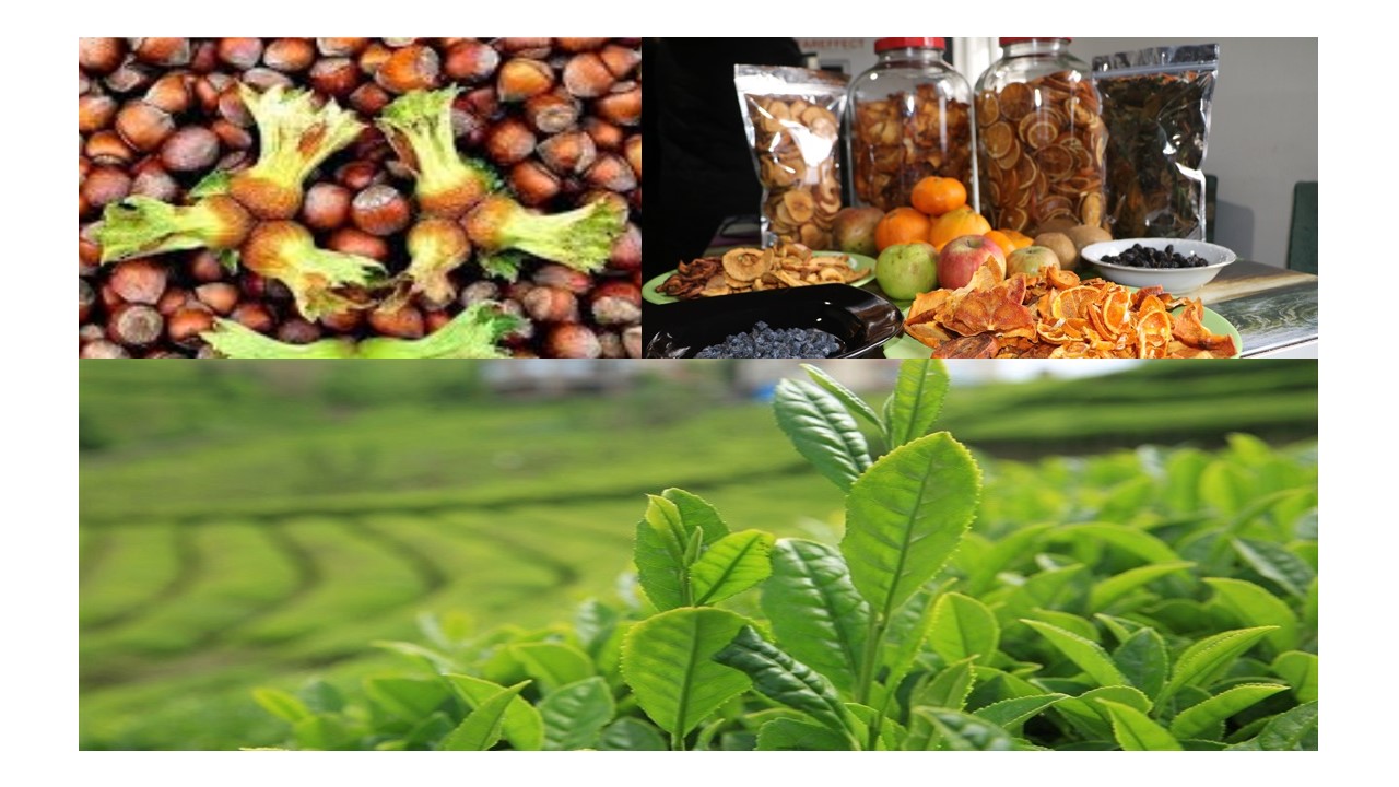 TARIM VE ORMAN MÜDÜRLÜĞÜ HİBE DESTEĞİ YAYINLANDI