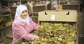 Kuru meyve sezonu açıldı, ihracatı üç haneli rakamlara ulaştı