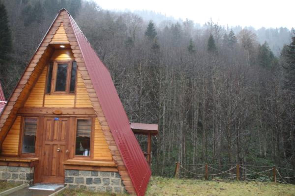 Yılbaşında yaylada bungolav tatilinin geceliği 2 bin TL