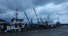 Sinop'ta deniz mayını bulundu