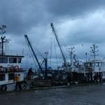 Sinop'ta deniz mayını bulundu